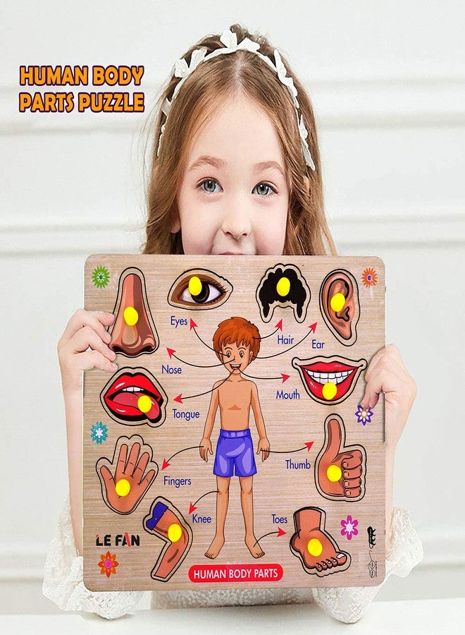 Lefan® Kids Fort Pre Nursery Educational Jigsaw Puzzles for Adults Kids Learning Toys Kit Board Game 8 pcs Set of Hindi Letter Animal Bird Body Part Vehicle Educational Toy - Image 2